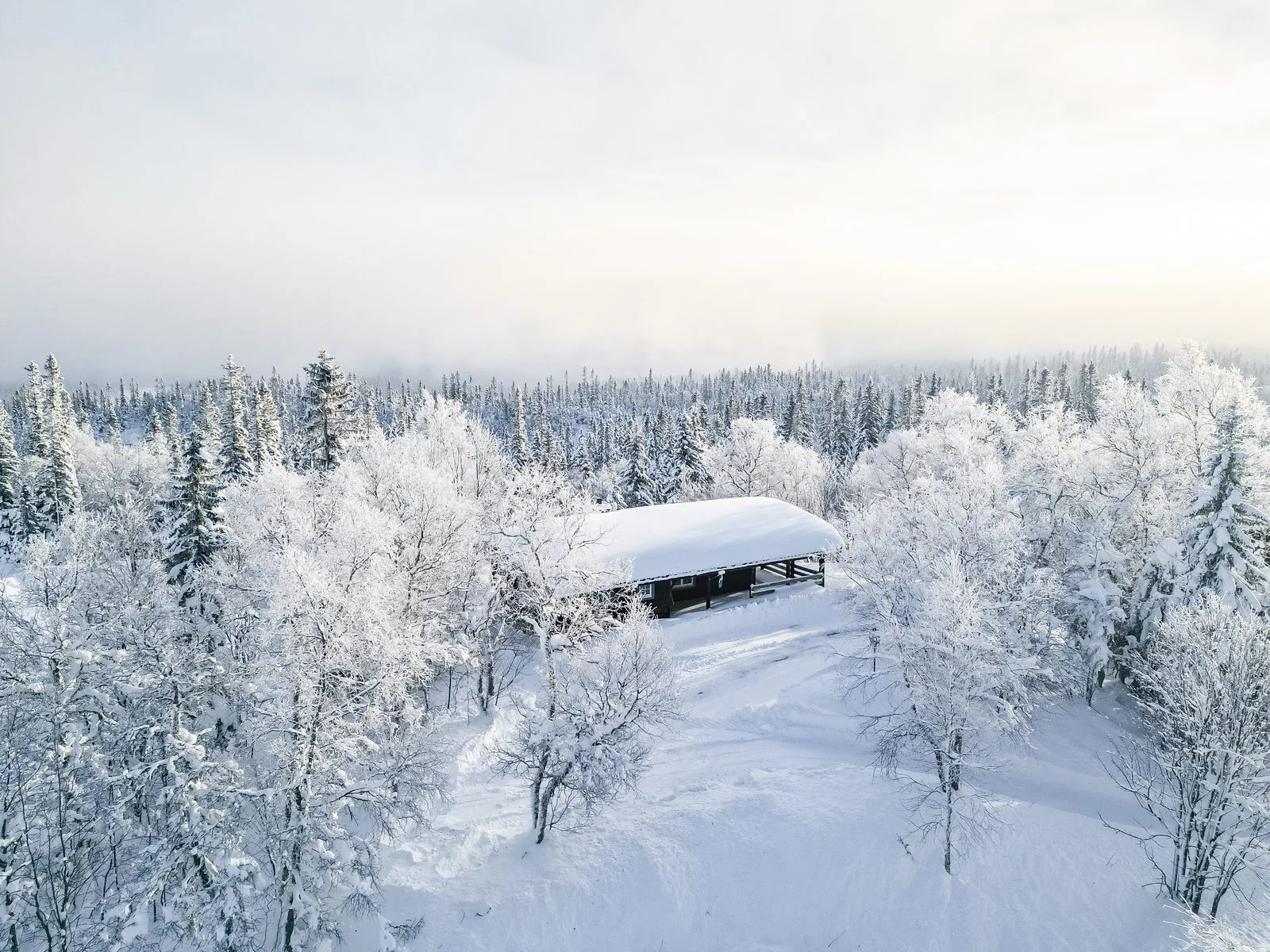 Lars Lindström - portfolio